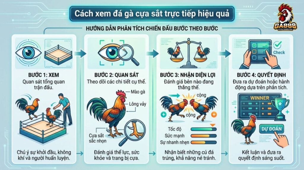 Cách xem đá gà cựa sắt trực tiếp hiệu quả