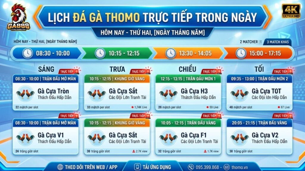 Lịch đá gà Thomo trực tiếp trong ngày