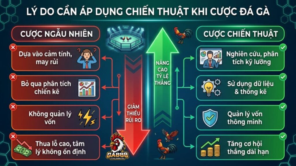 Lý do cần áp dụng chiến thuật khi cược đá gà