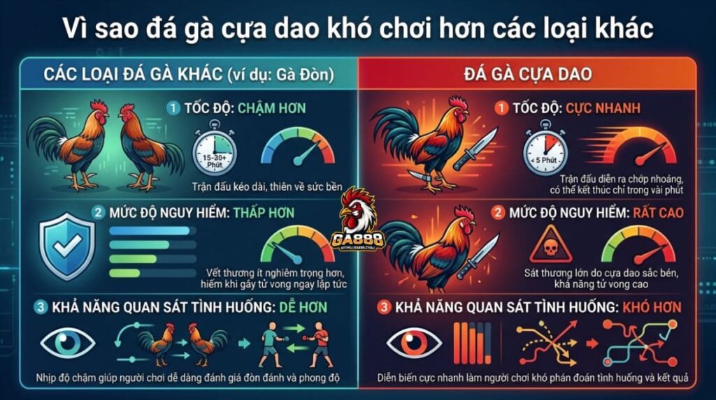 Vì sao đá gà cựa dao khó chơi hơn các loại khác