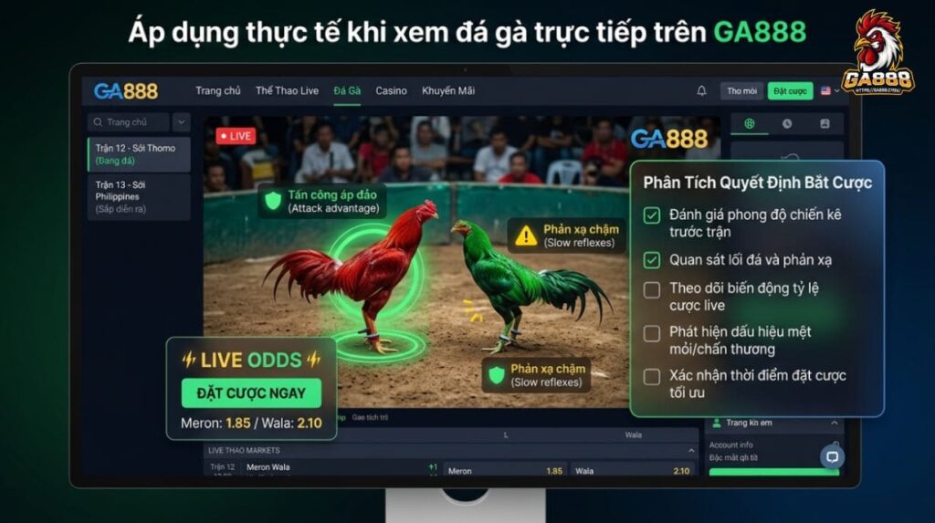 Áp dụng thực tế khi xem đá gà trực tiếp trên GA888