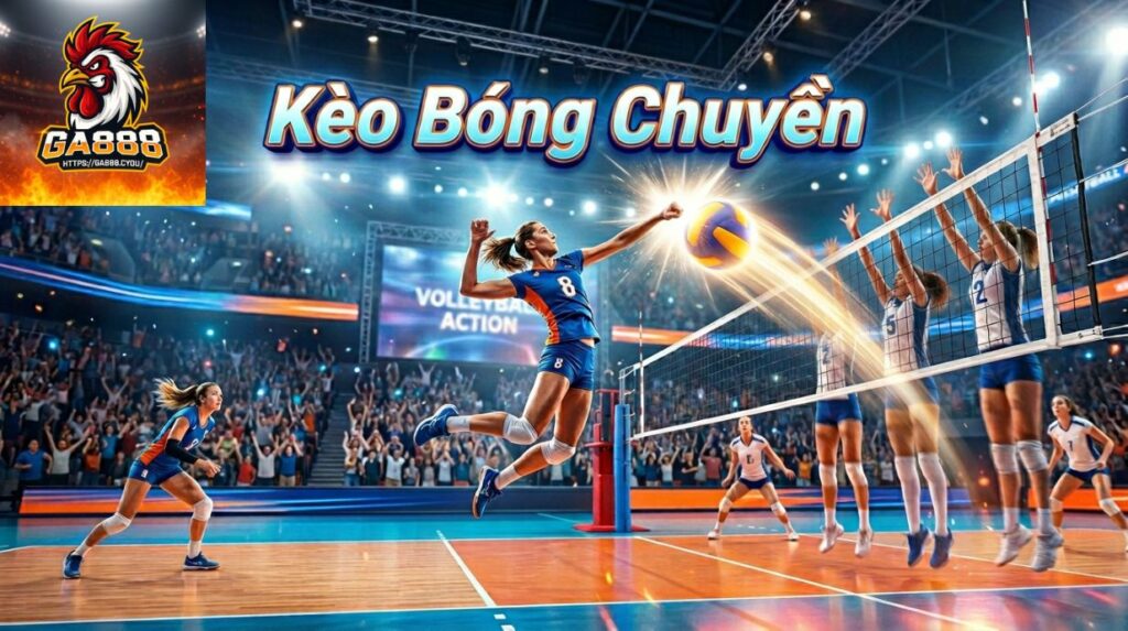 Kèo bóng chuyền - Cách đọc kèo, phân tích & chiến lược thắng